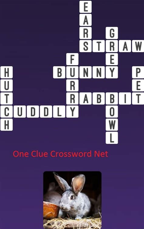 bunny crossword clue|BUNNY Crossword Clue